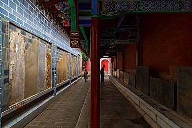 《饿狼传说：狼之城》特瑞·博加德预告 2025年初发售