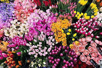 《看门狗：军团》将停止更新 线上模式依旧可玩