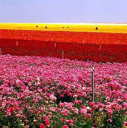 《命运2》下个扩展包“光陨”将于8月23日正式亮相